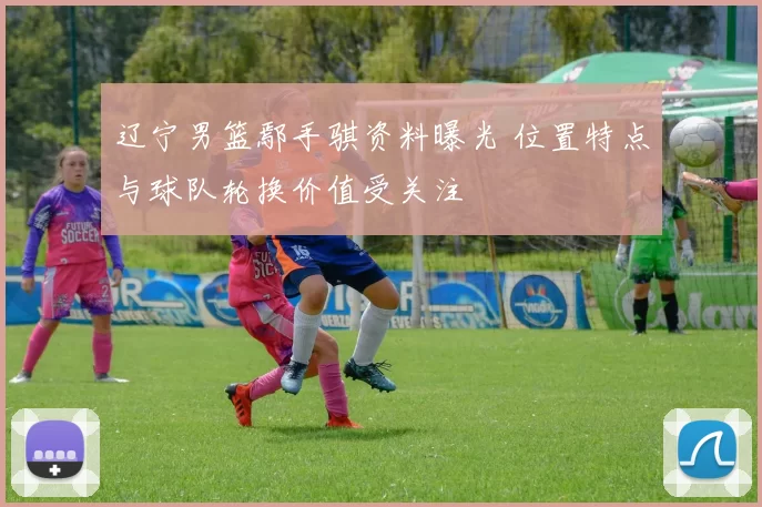 辽宁男篮鄢手骐资料曝光 位置特点与球队轮换价值受关注