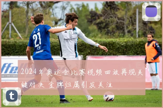 2024年奥运会比赛视频回放再现关键对决 金牌归属引发关注