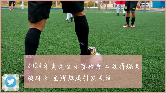 2024年奥运会比赛视频回放再现关键对决 金牌归属引发关注