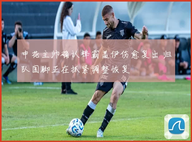 申花主帅确认锋霸盖伊伤愈复出 归队国脚正在抓紧调整恢复