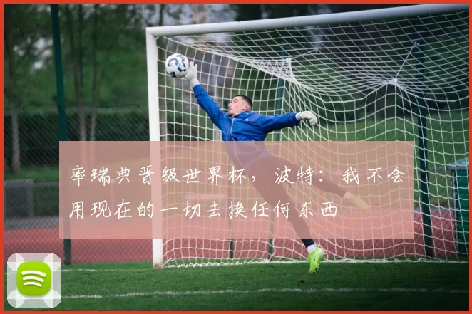 率瑞典晋级世界杯，波特：我不会用现在的一切去换任何东西