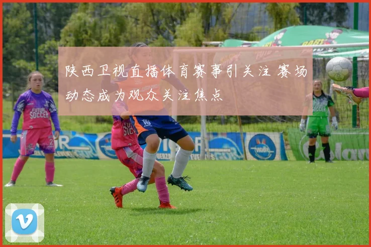 陕西卫视直播体育赛事引关注 赛场动态成为观众关注焦点